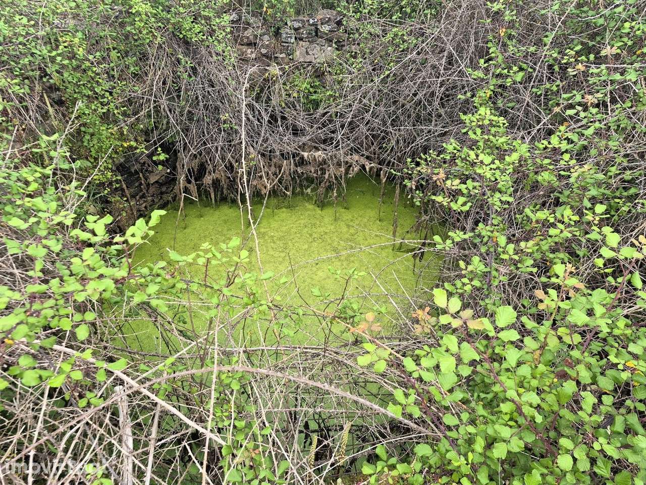 Quinta - Grande imagem: 4/16