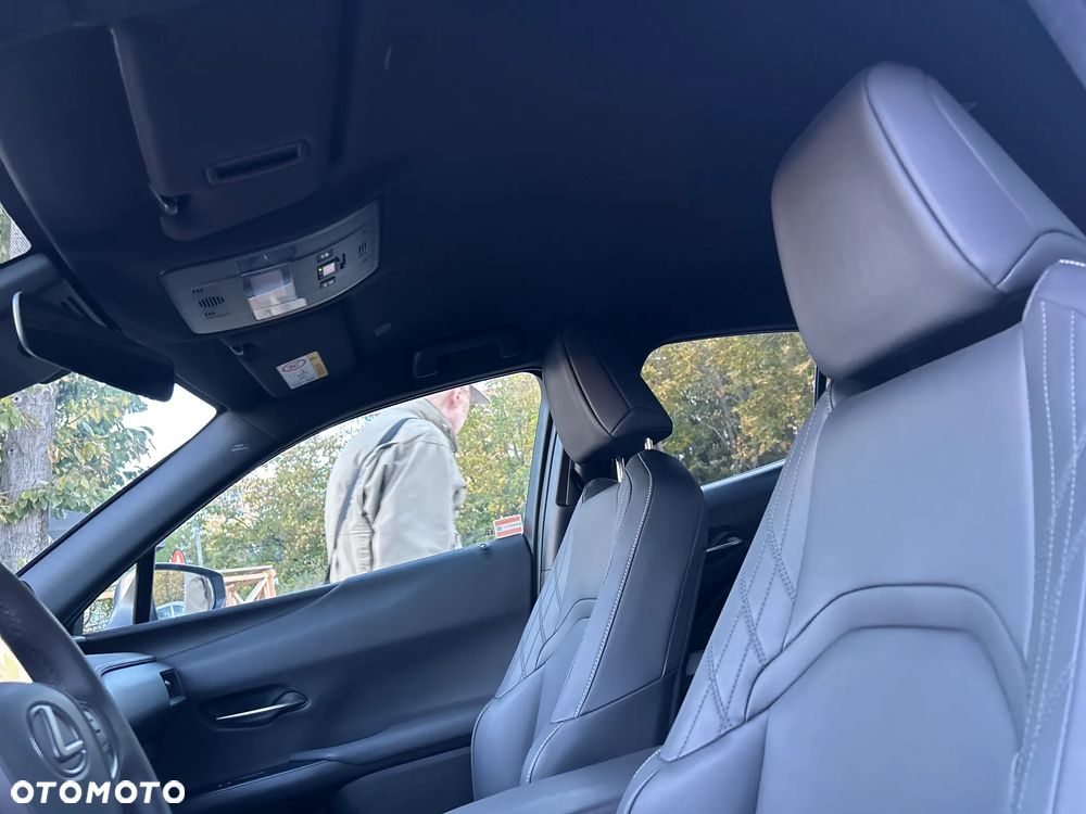 Lexus UX 300h F Sport Design - 19