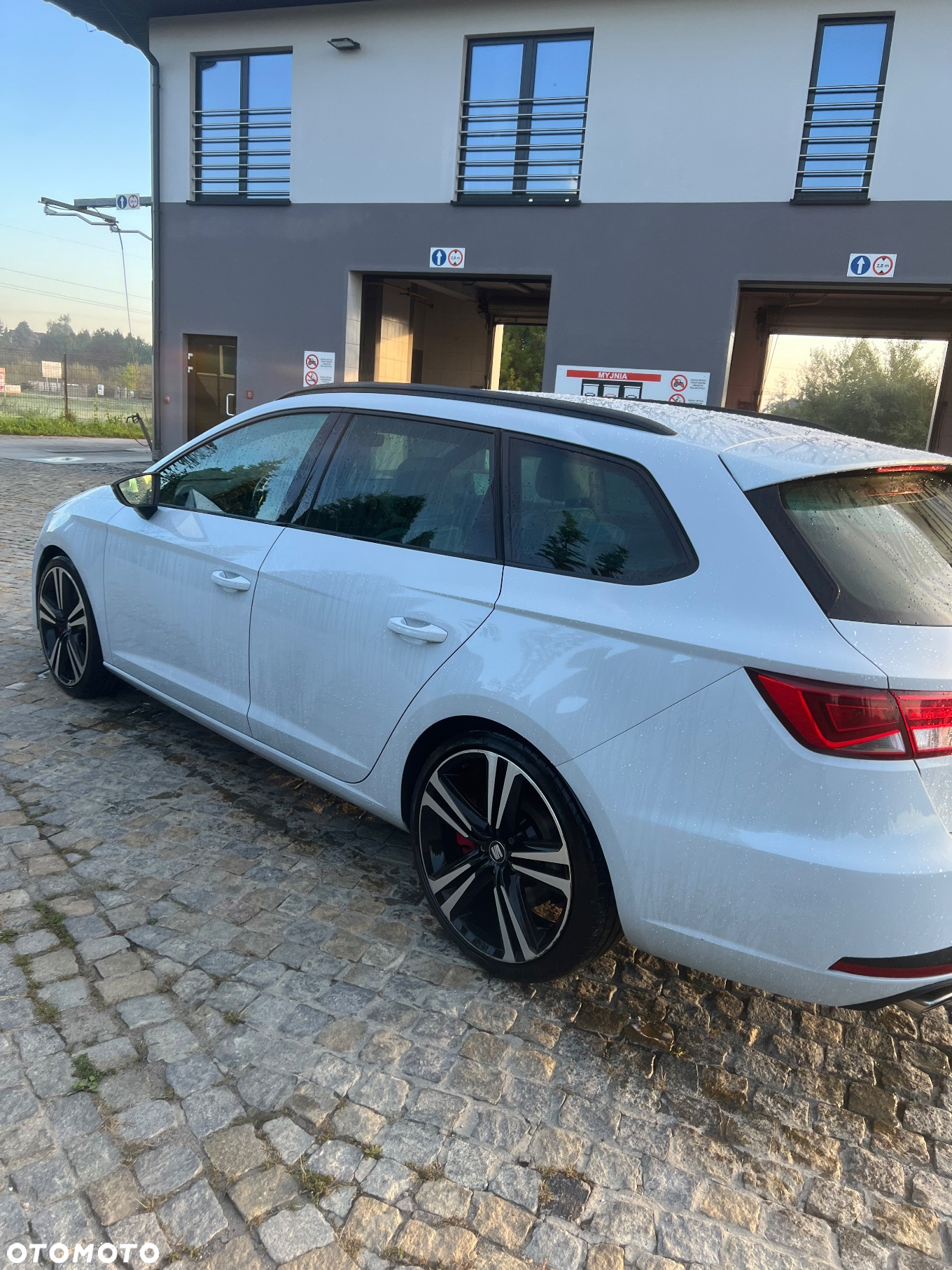 Seat Leon 2.0 TSI Cupra 290 S&S DSG - 8