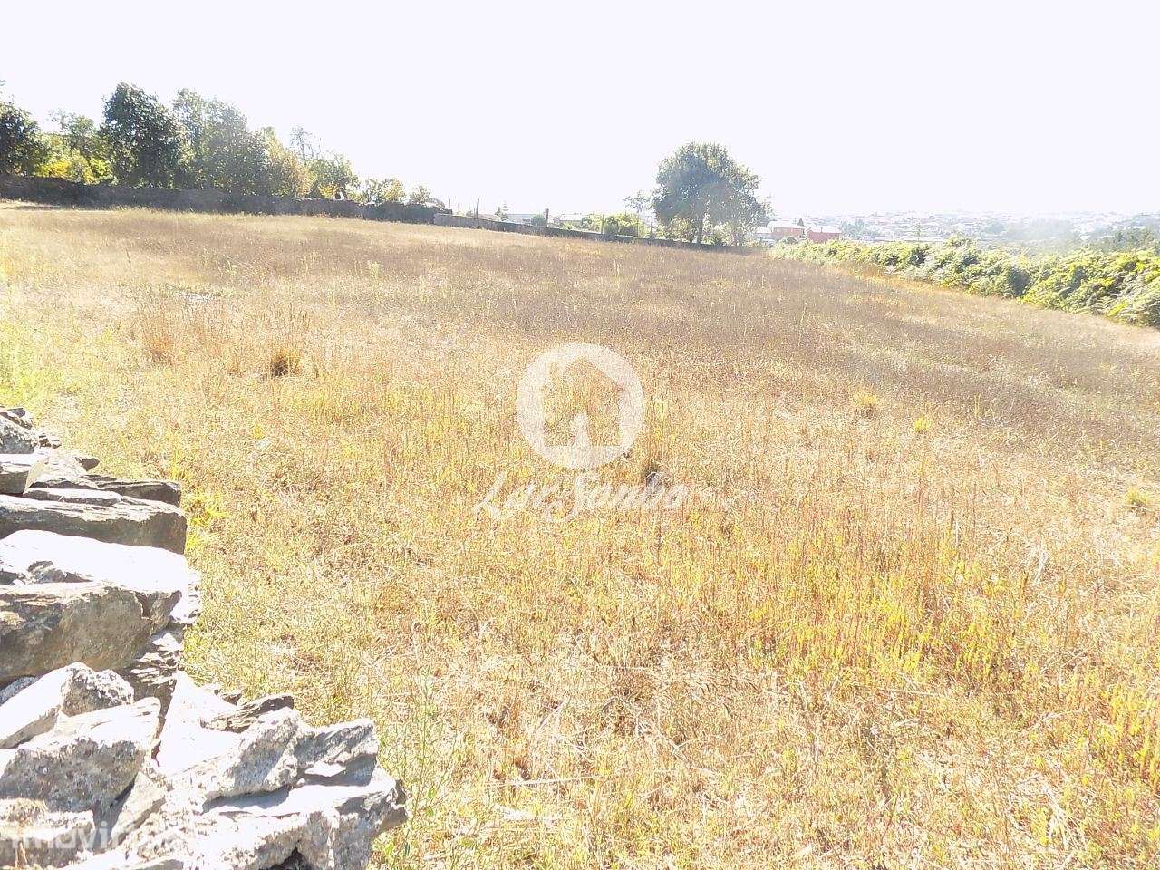 Terreno de construção com 2.925 m2 em Ribeirão - Grande imagem: 3/6