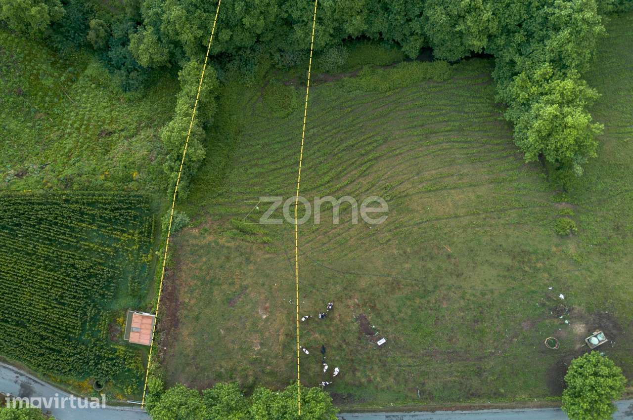 Terreno Rústico com 2440m² - Fenais da Ajuda - Grande imagem: 5/17