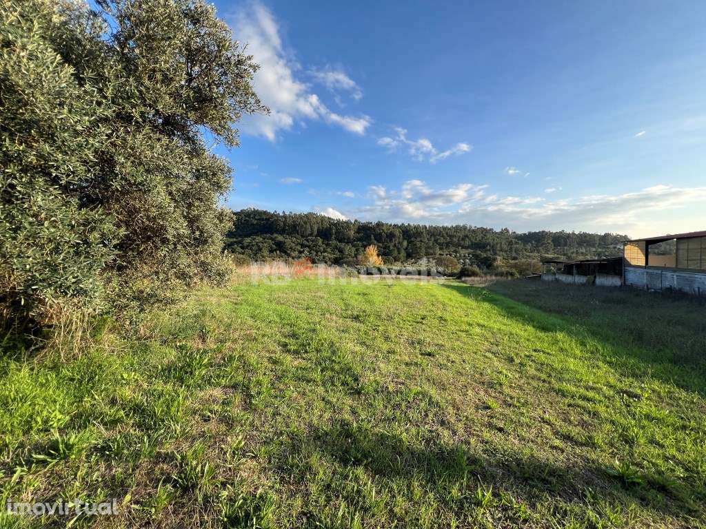 3 x Terrenos Rústicos - Tomar - Grande imagem: 5/29