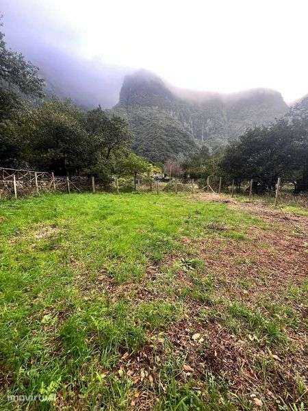 Terreno Rústico Seixal Chão da Ribeira - Grande imagem: 3/7