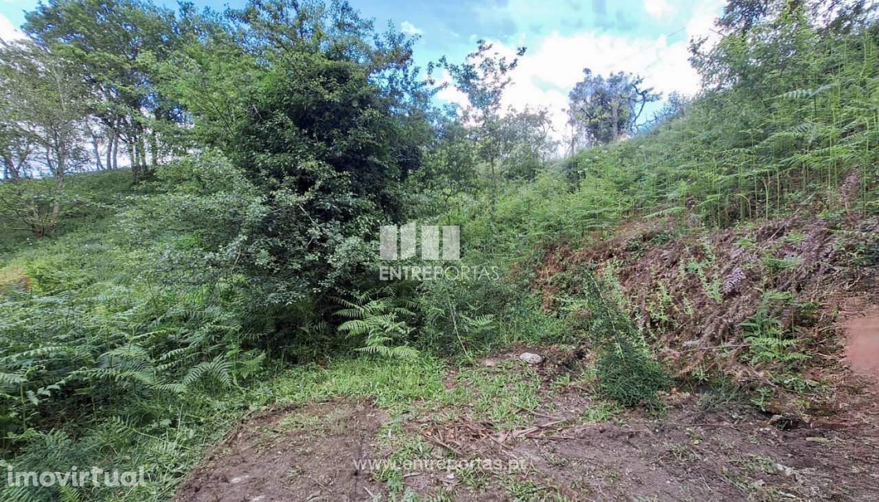 Venda de Terreno, Vila Nova de Muía, Ponte da Barca - Grande imagem: 5/27