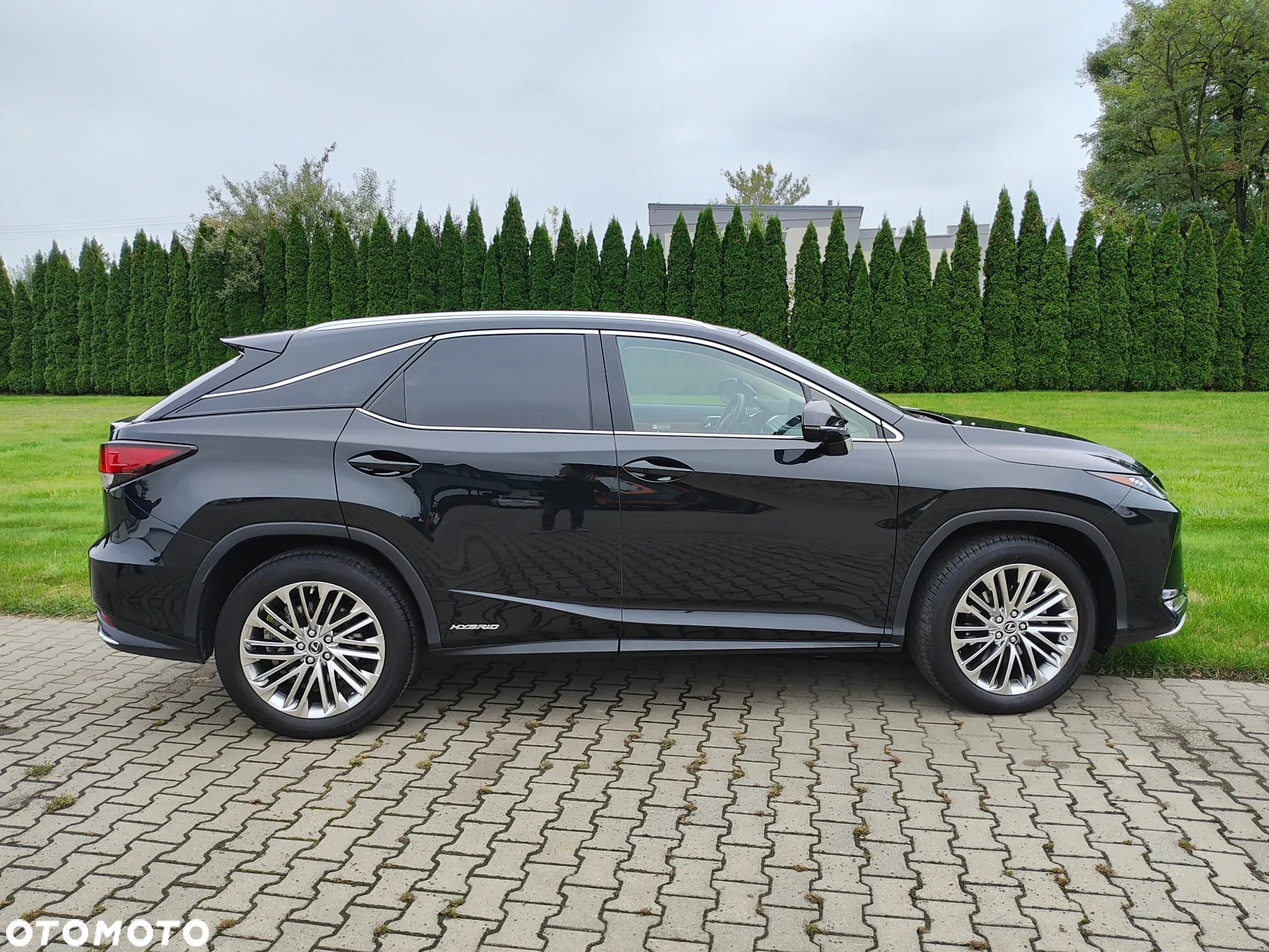 Lexus RX 450h Omotenashi - 6