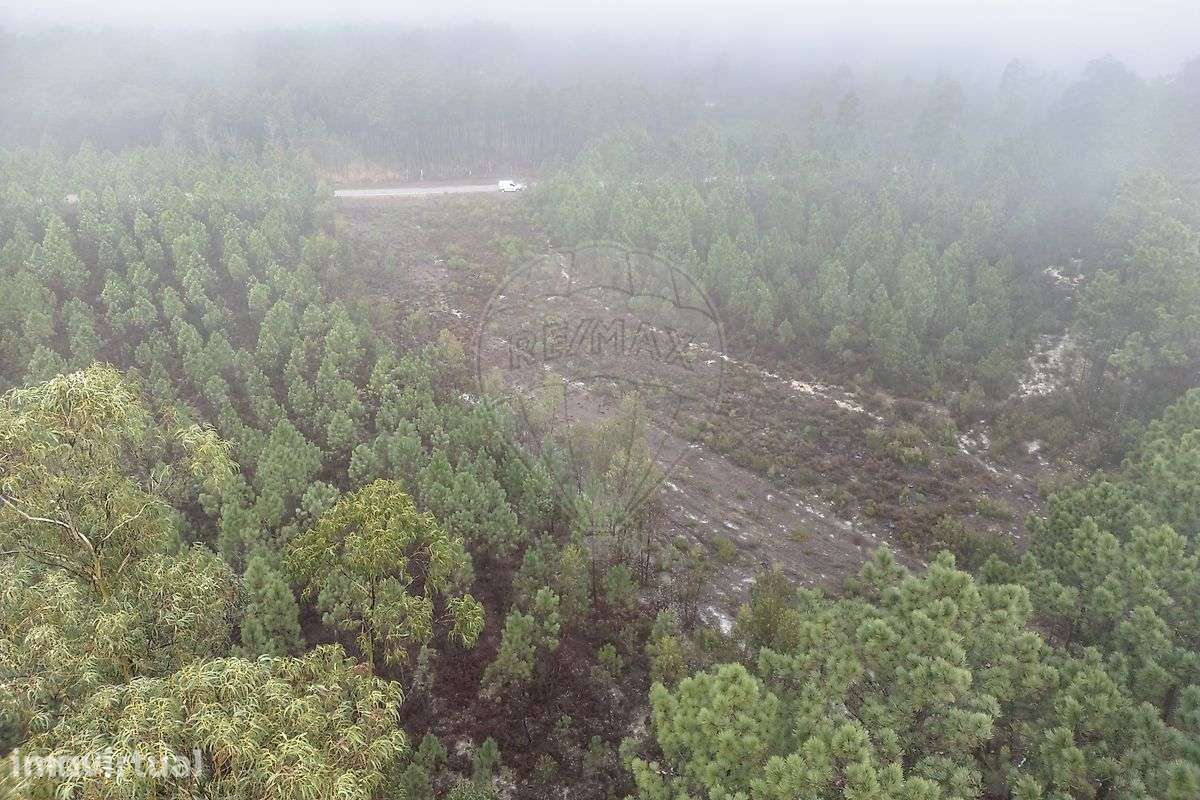 Terreno  para venda - Grande imagem: 3/11