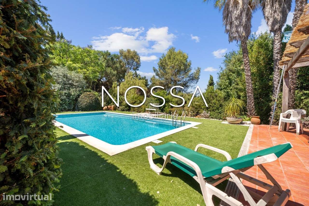 Qta | Palmela | 15.000m2 | Moradia T3 c/ Piscina - Grande imagem: 4/26