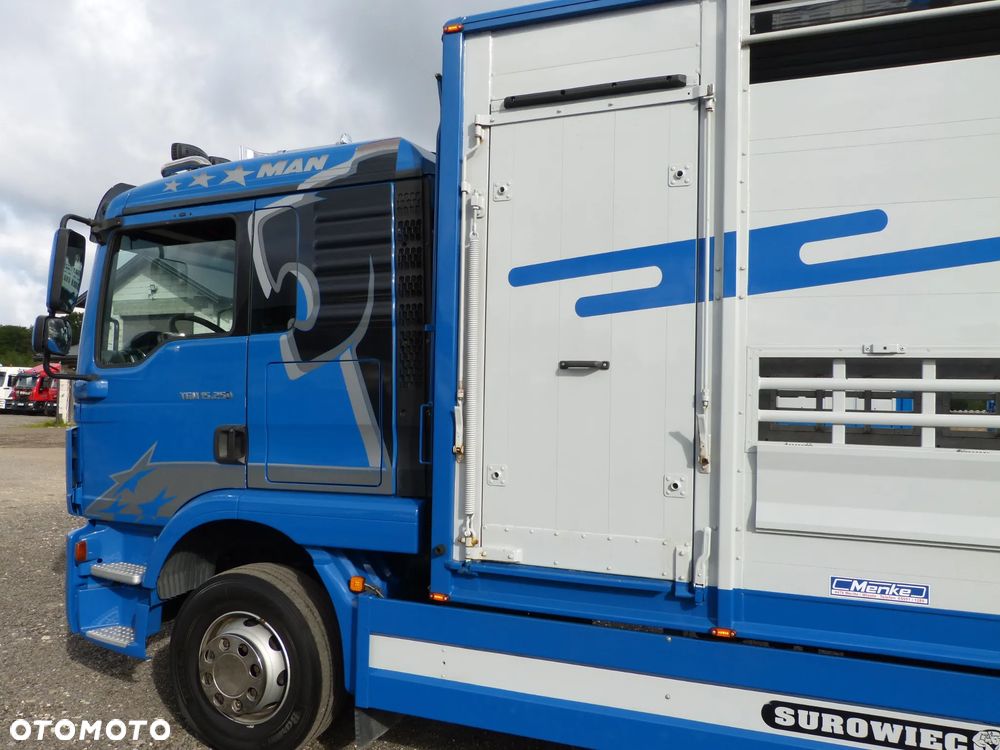 MAN TGM 15.250 DO ŻYWCA / ZWIERZĄT / BYDŁA / WAGA EL/. EURO 6 / DŁ. 5.20M /XENON - 18