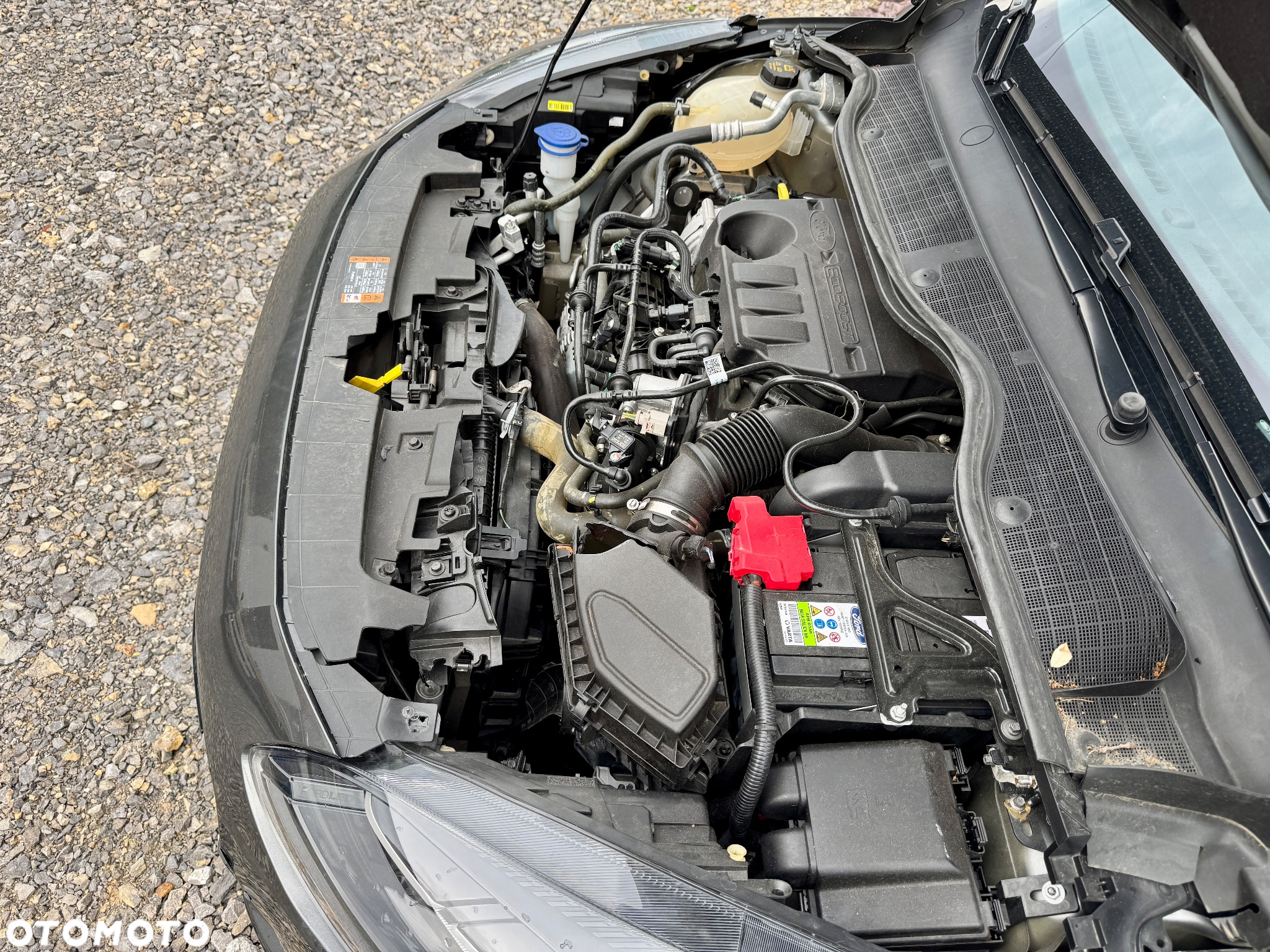 Ford Fiesta - 34