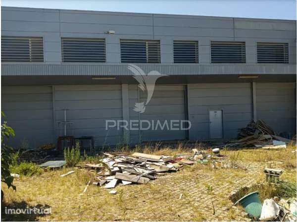 Armazém com Logradouro em Valongo do Vouga, Águeda - Grande imagem: 2/5