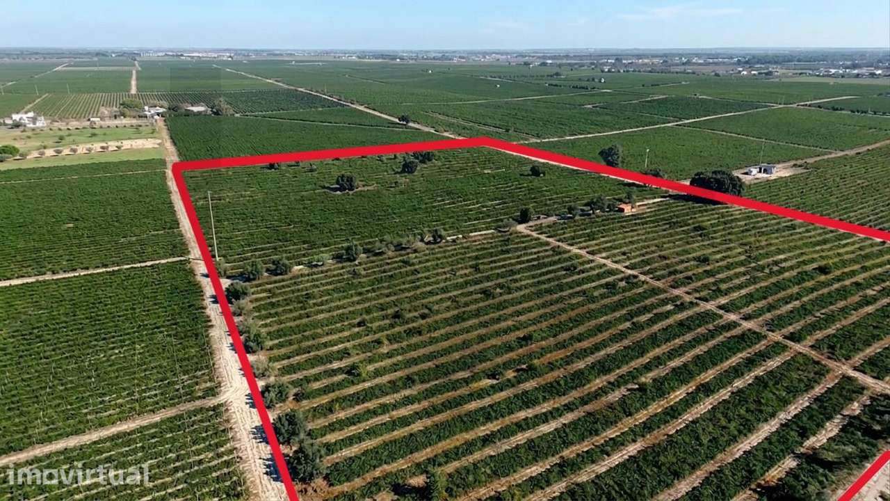 Herdade da Marateca: 59.000 m2 de Potencial Ilimitado entre o Campo e - Grande imagem: 2/9