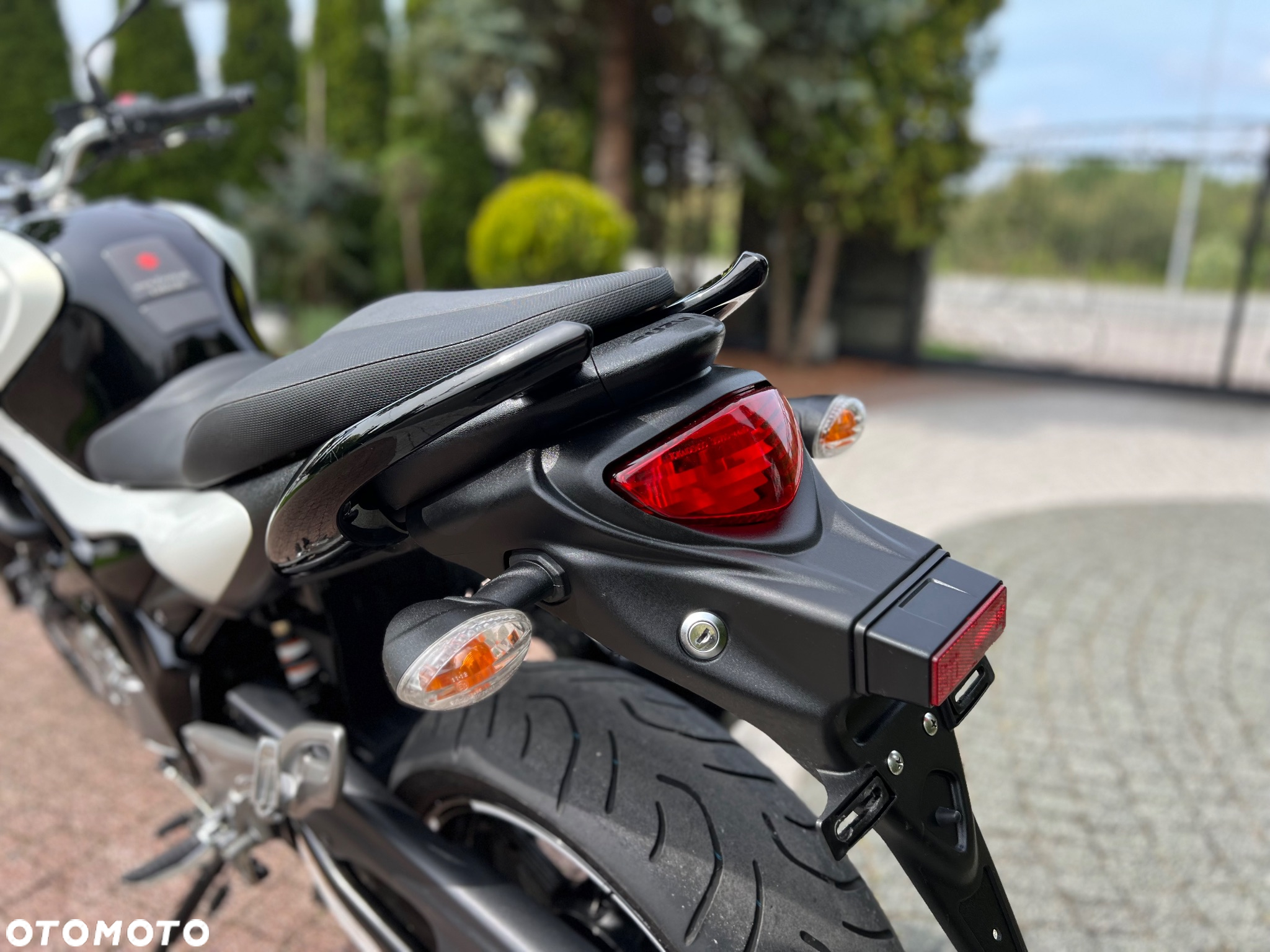 Suzuki Gladius - 19