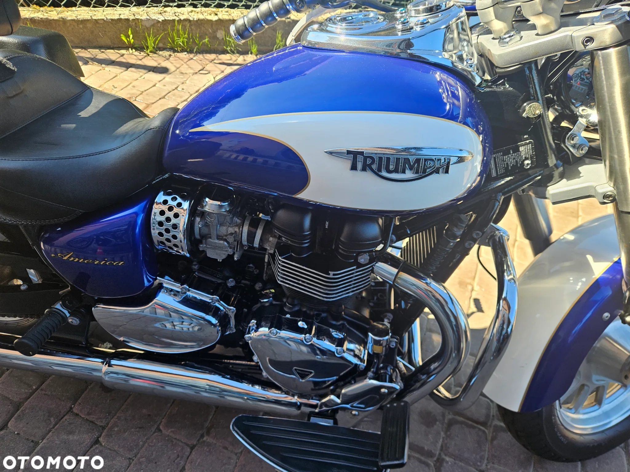 Triumph Speedmaster - 5