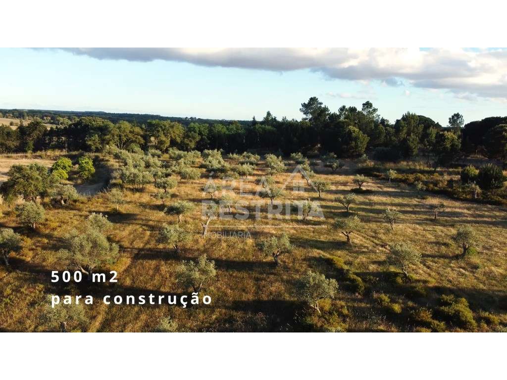 Terreno 5000 m2 -Canha com viabilidade de construção 500 m2 - Grande imagem: 2/8