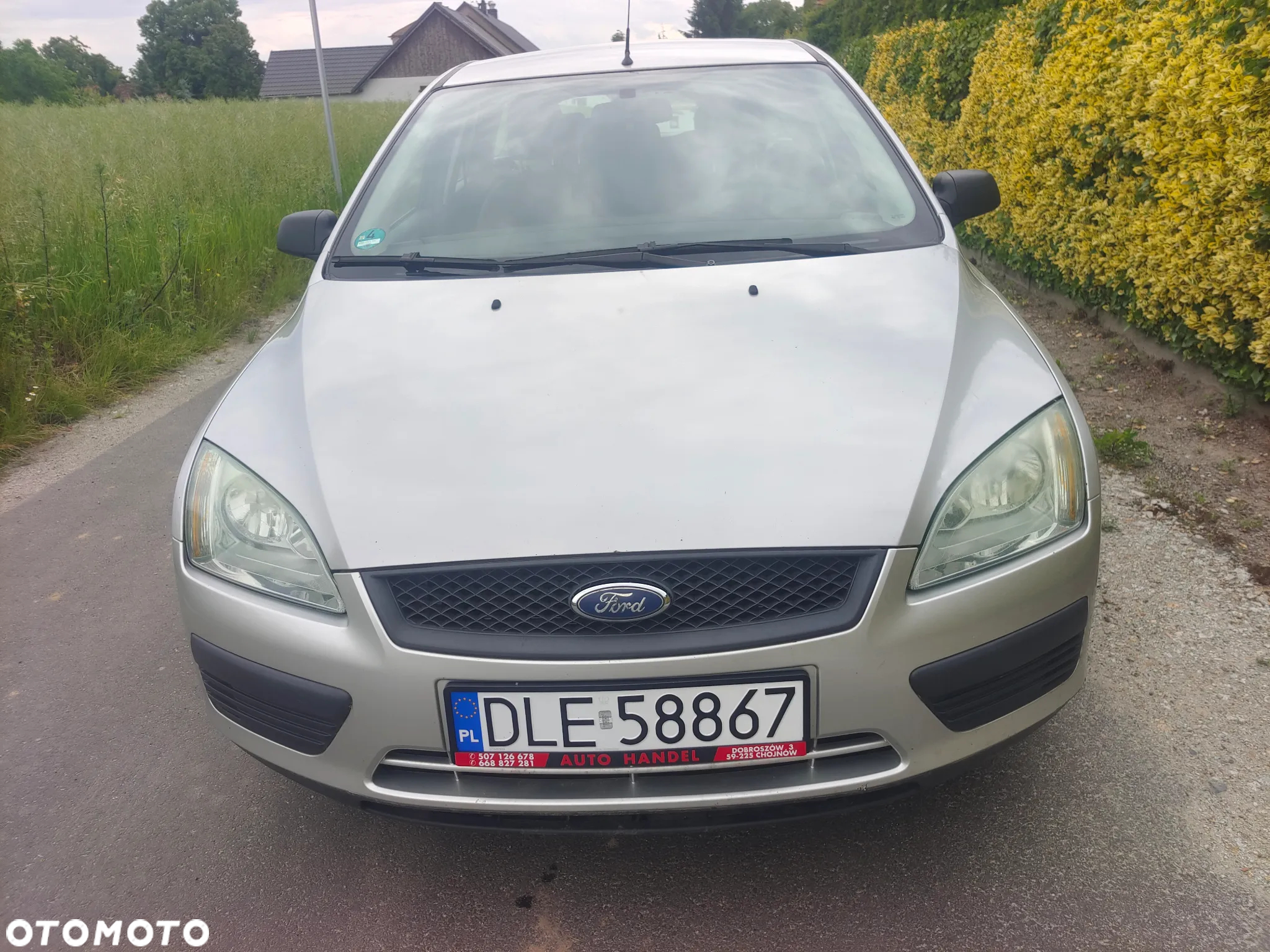 Ford Focus 1.6 Ghia - 8