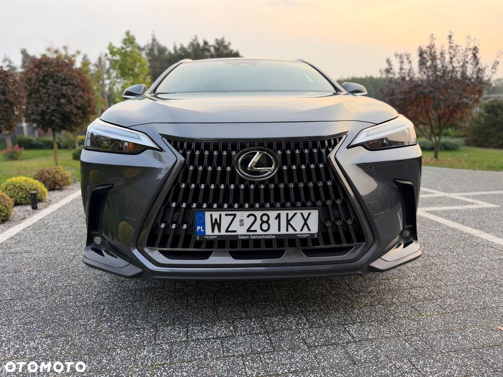 Lexus NX 350h Prestige 2WD - 16