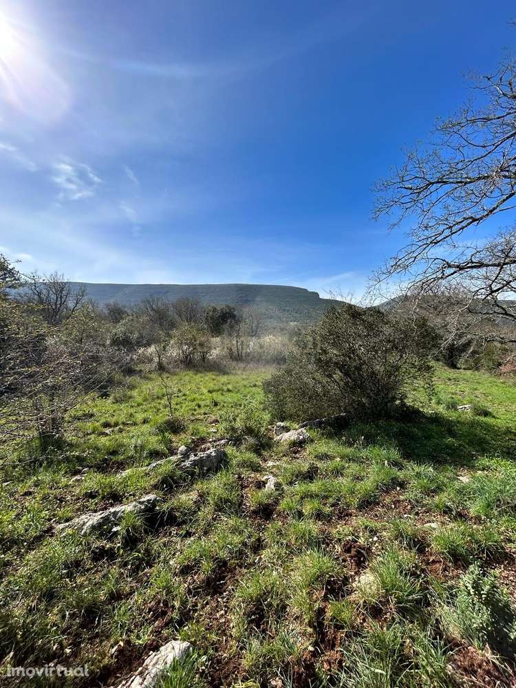 Terreno rústico Alcaria - Grande imagem: 2/12