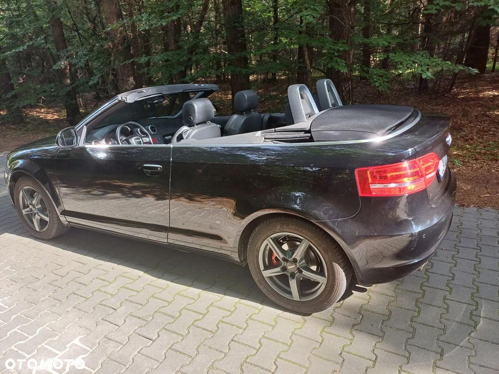 Audi A3 Cabrio 1.9 TDI DPF Ambition - 2