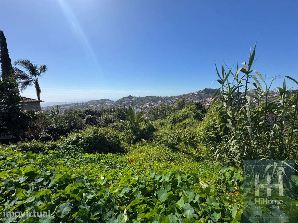 Terreno com 6.090 m² no Funchal, com excelente vista mar e cidade - Grande imagem: 3/11