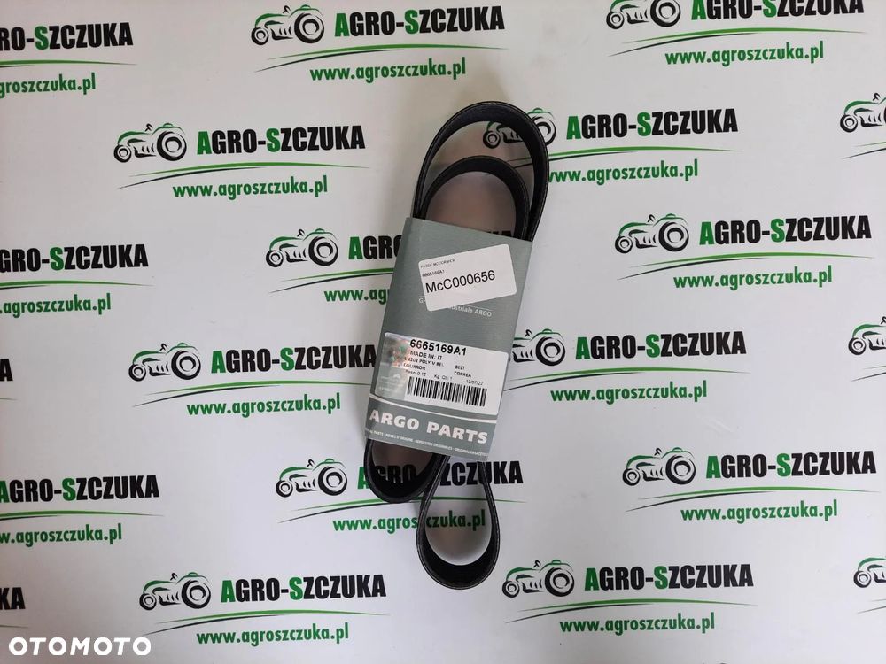 PASEK PK 6665169A1 McCORMICK - 1