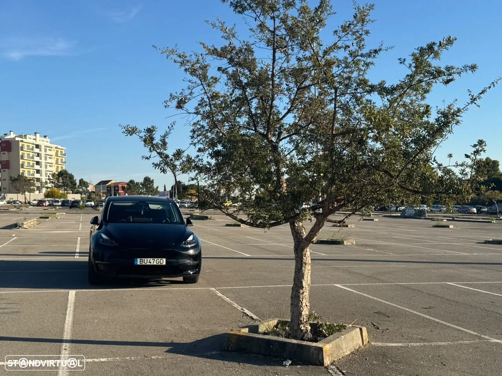 Tesla Model Y Performance Dual Motor AWD - 34