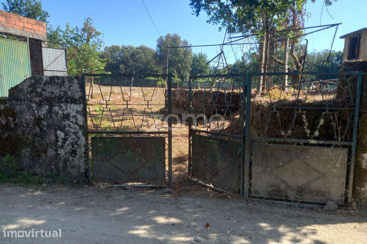 Quinta com casa de pedra e riacho | Potencial turístico | Viseu - Grande imagem: 2/37