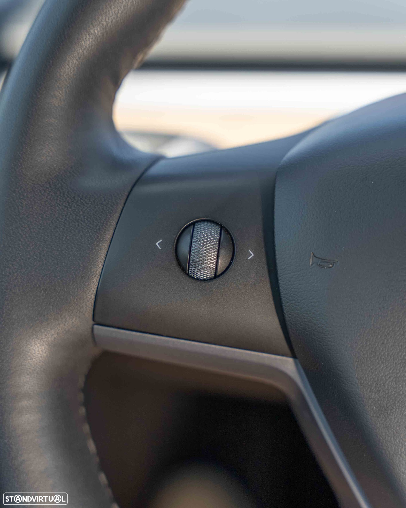 Tesla Model Y Performance Dual Motor AWD - 18