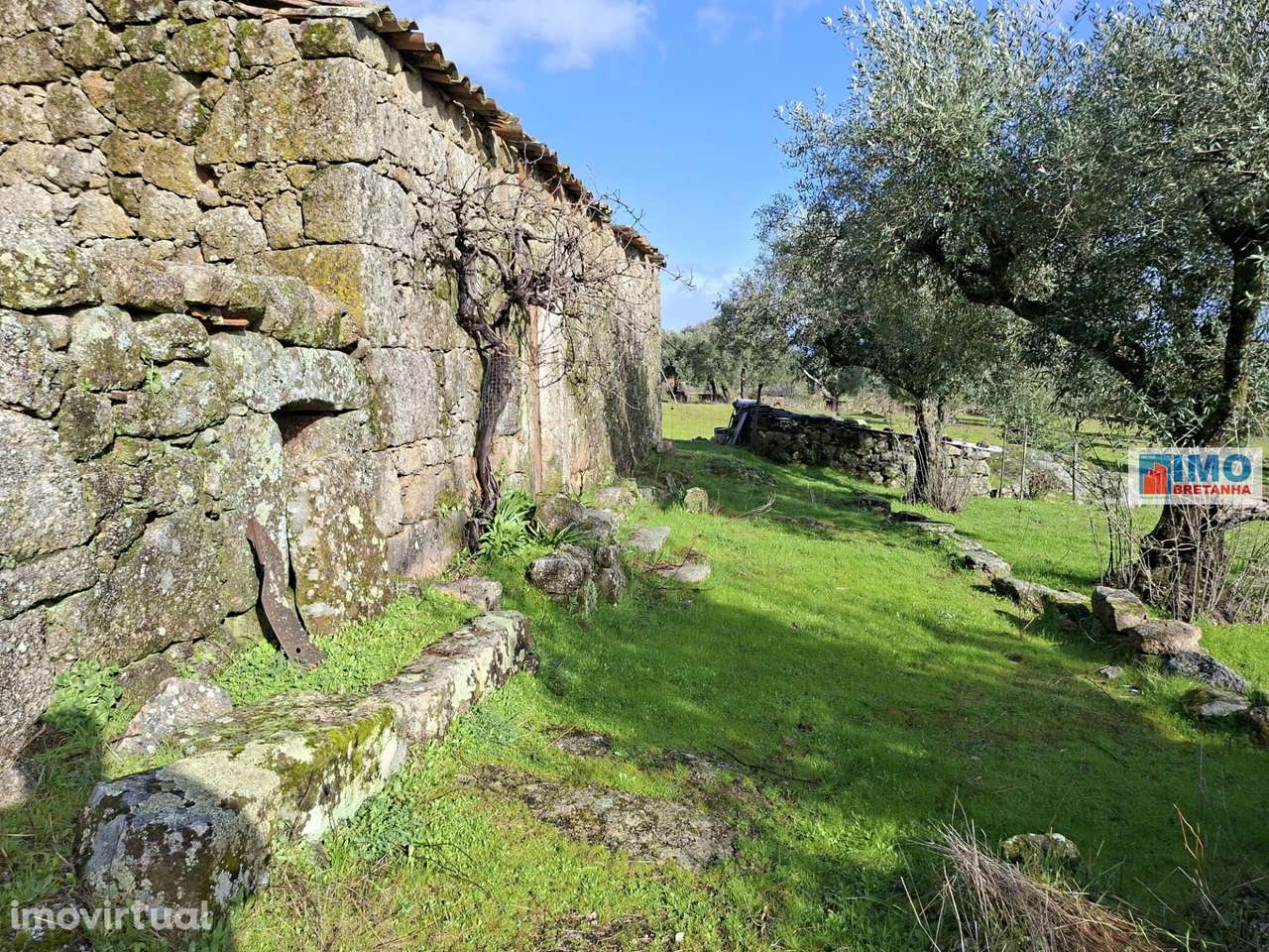 Quinta c/ Ruína em São Miguel D´Acha - 20 min Castelo Branco - Grande imagem: 2/22