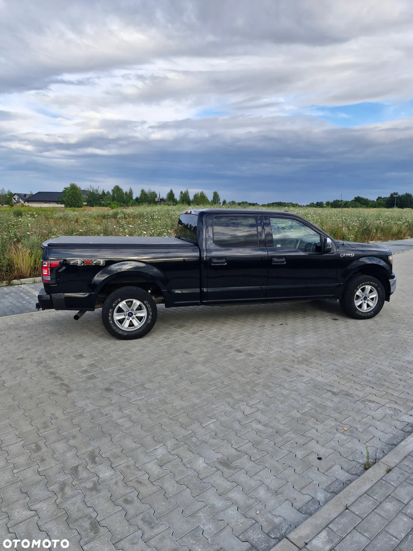 Ford F150 - 6