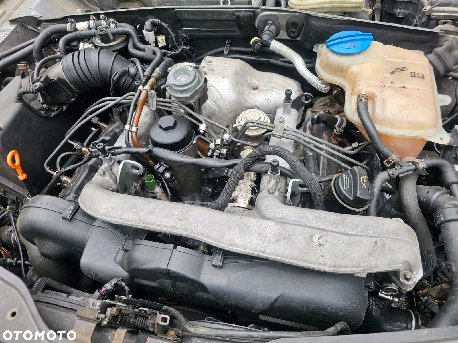 Silnik kompletny motor 2.5 TDI V6 BAU 180 KM VW Audi Seat Skoda EU - 8