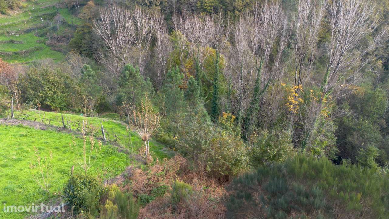 Terreno  Venda em Ansiães,Amarante - Grande imagem: 4/10