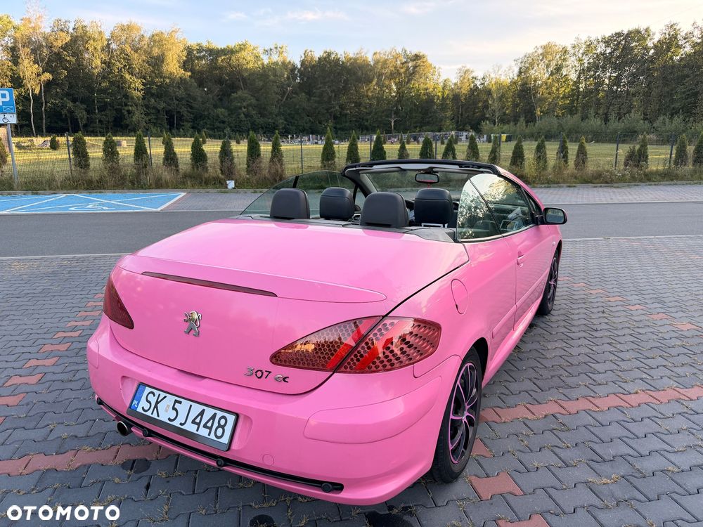 Peugeot 307 CC 1.6 - 19