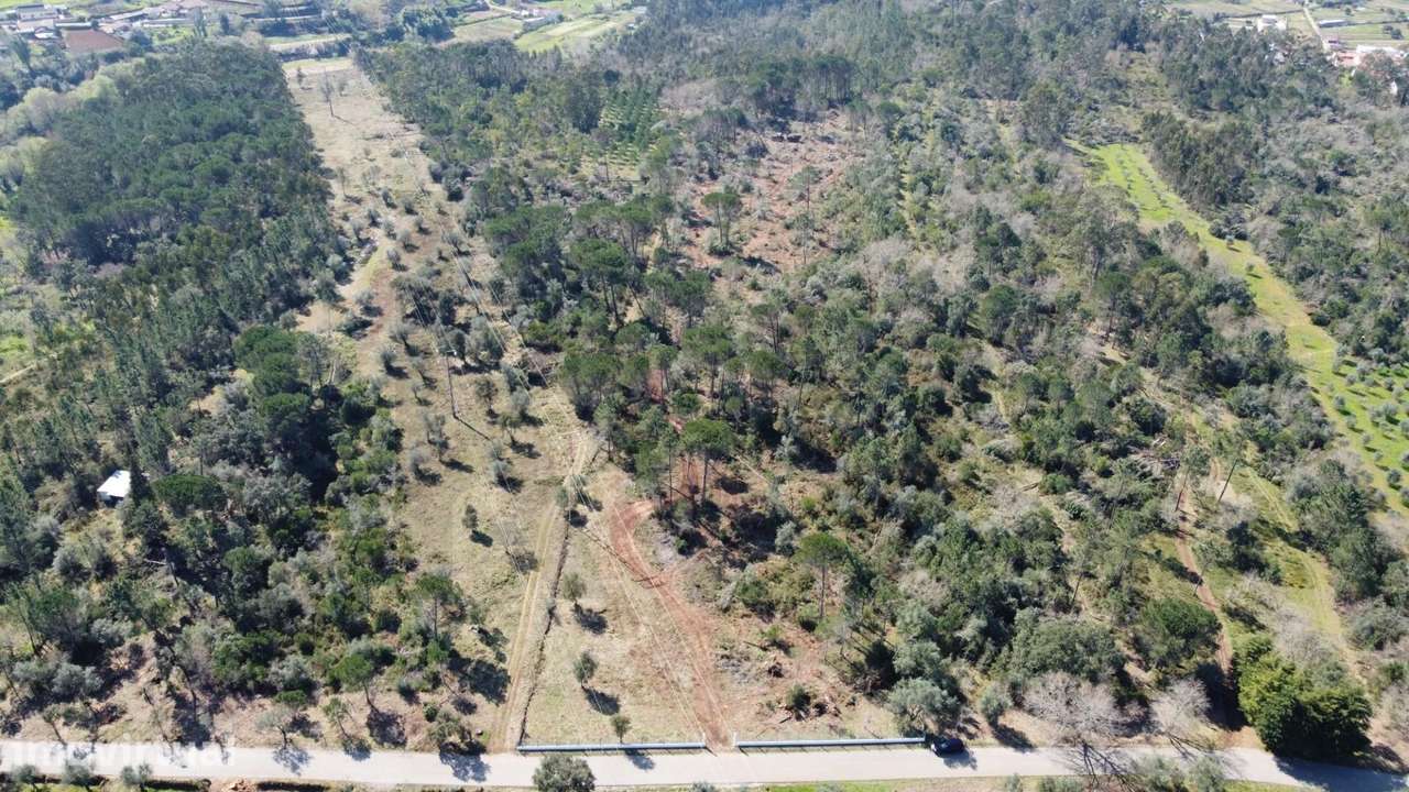 Terreno com 19.130 m2 e frente de estrada – Orelhudo, Cernache | A pou - Grande imagem: 5/11