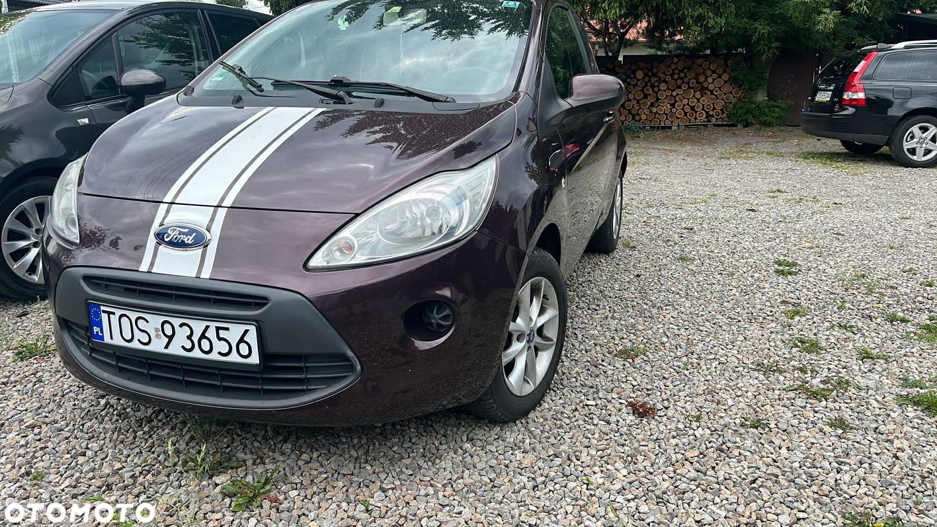 Ford KA 1.2 Start-Stopp-System Champions Edition - 1