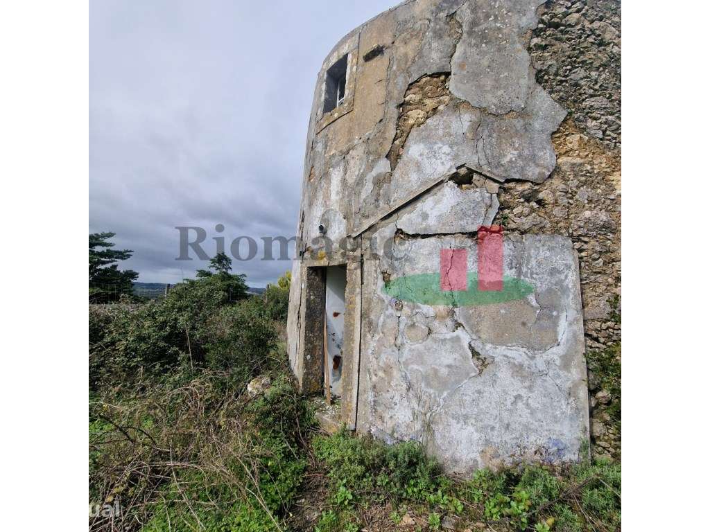 Moinho T1 Arruda dos Vinhos***RIOMAGIC*** - Grande imagem: 4/15