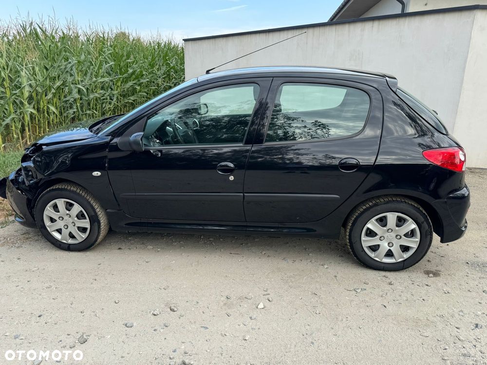 Peugeot 206 plus - 6