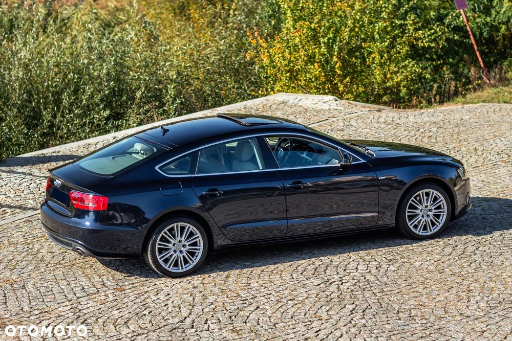 Audi A5 Sportback 3.0 TDI quattro DPF S tronic - 15