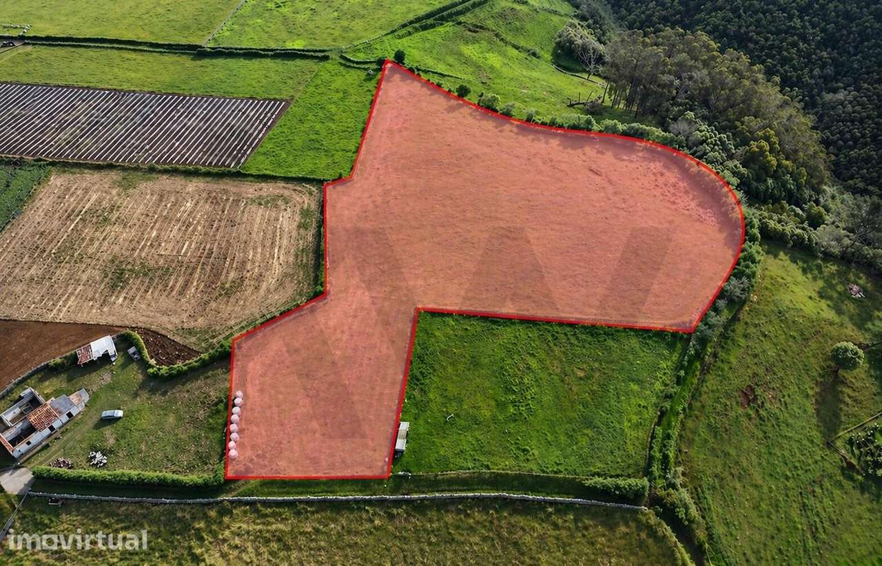 Terreno de 8990m2 com Vista Mar - Feteiras do nascente, Almagreira - Grande imagem: 3/9