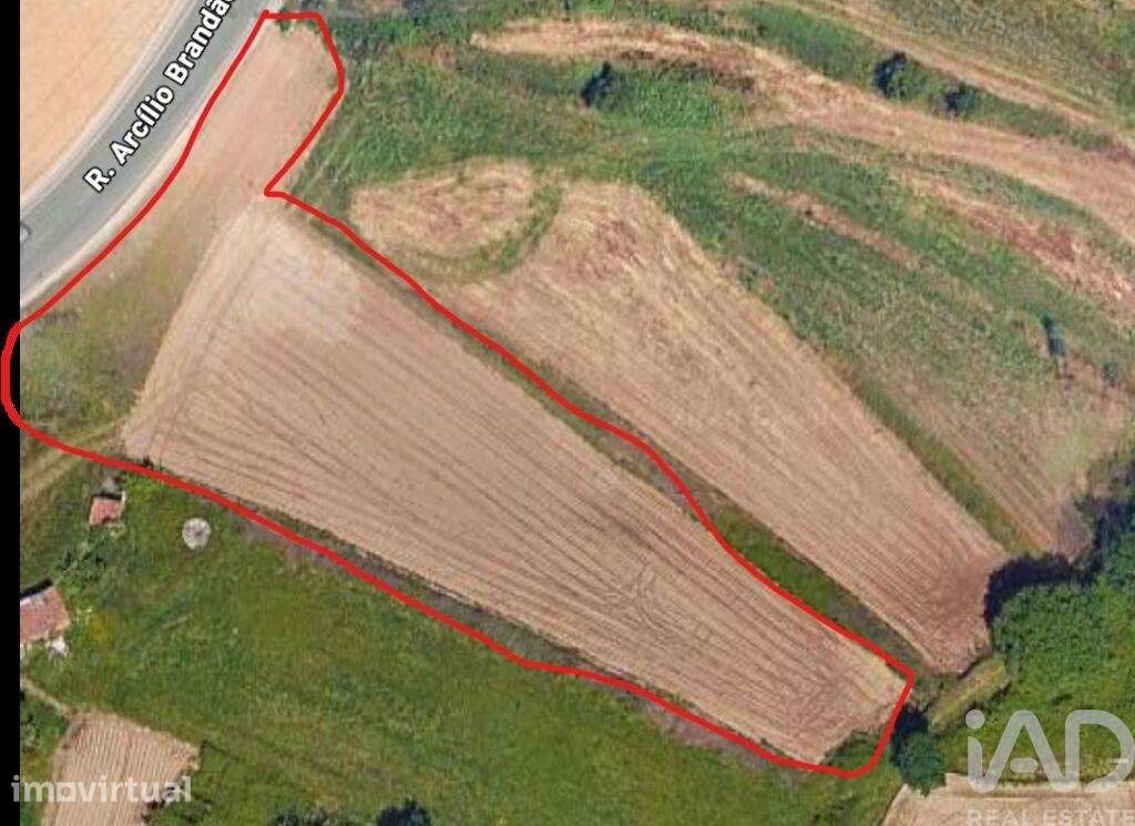 Terreno misto em Oliveira de Azeméis, Santiago de Riba-Ul, Ul, Macinha - Grande imagem: 3/3