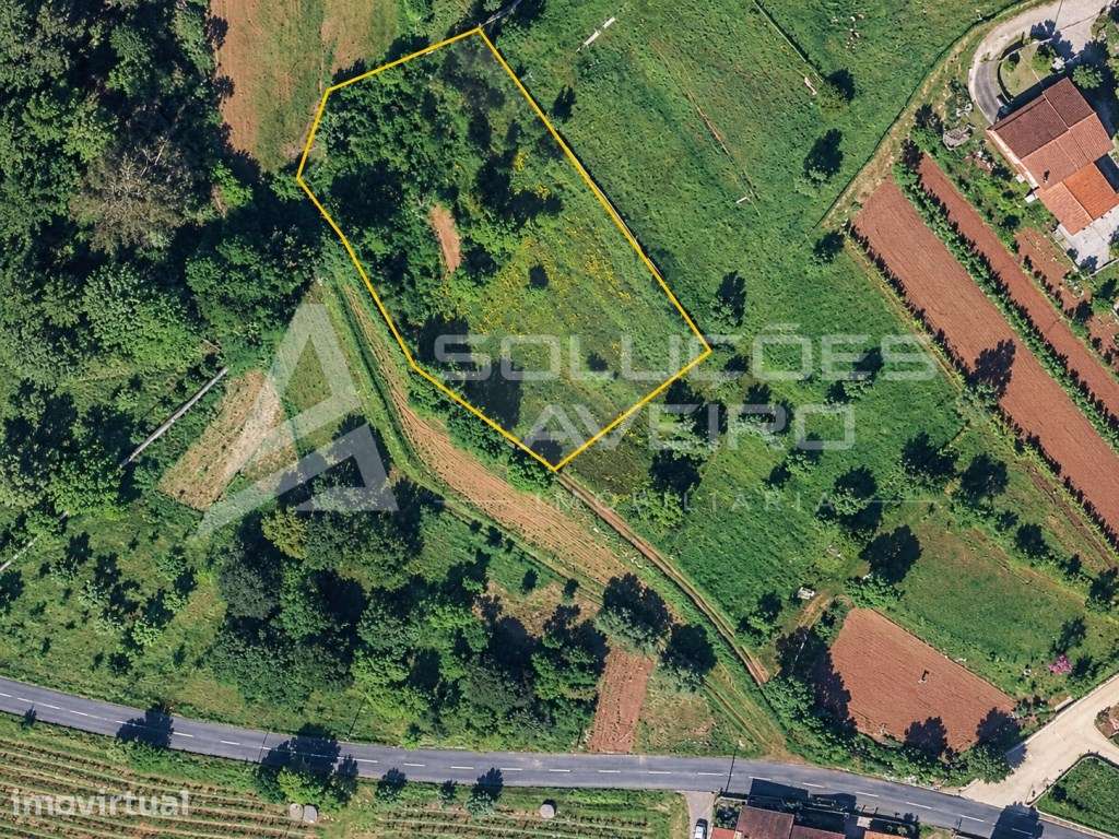 QUINTA DE ORONHE - ÁGUEDA | 2.150 m² - Grande imagem: 2/7