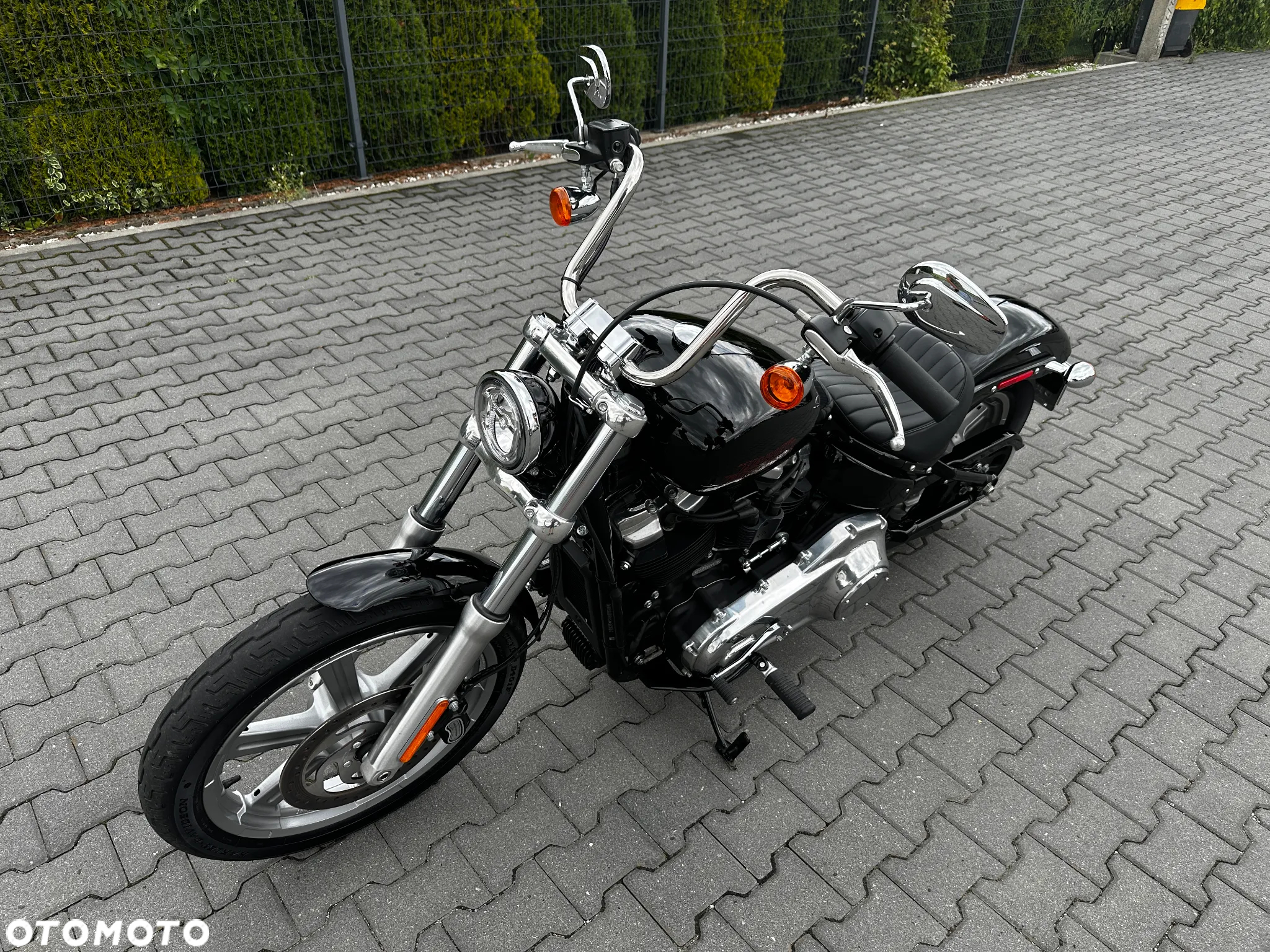 Harley-Davidson Softail Standard - 5