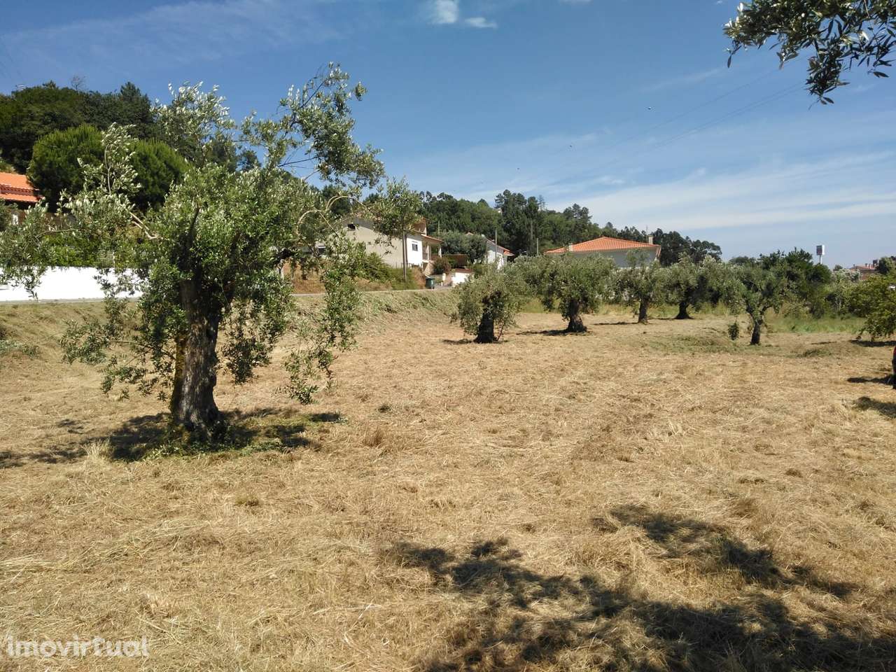 Terreno  Venda em Nossa Senhora da Piedade,Ourém - Grande imagem: 2/3