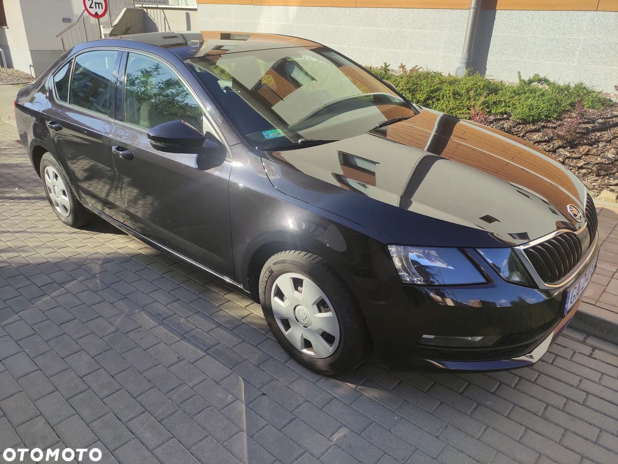 Skoda Octavia 1.0 TSI Active - 1