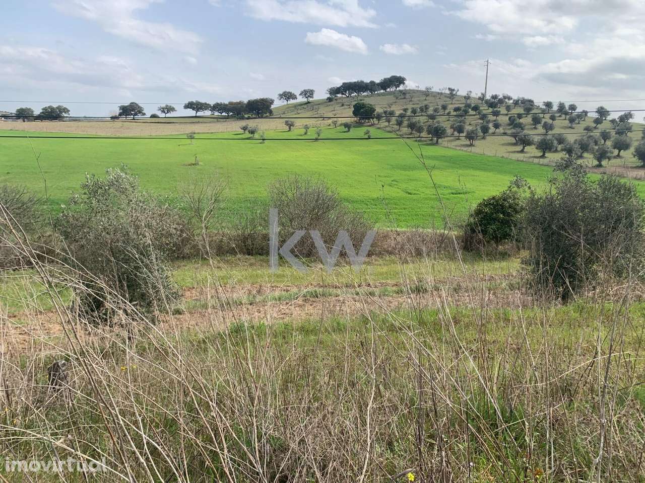 Terreno rústico 1692,00 ha em Odivelas FAL - Cultura Arvense de sequei - Grande imagem: 3/4