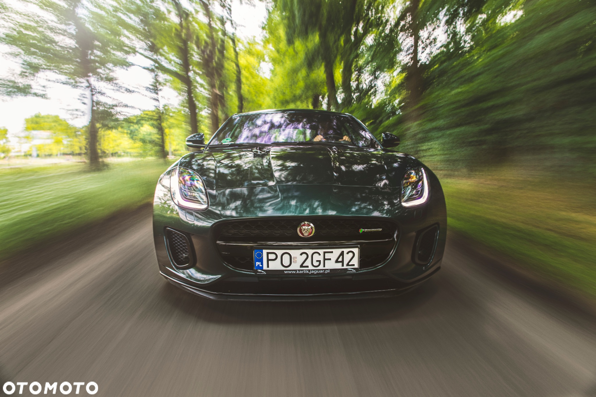 Jaguar F-Type 2.0 Turbo R-Dynamic - 8