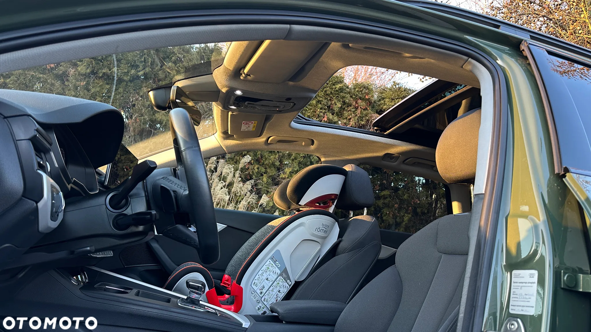 Audi A4 Allroad - 20