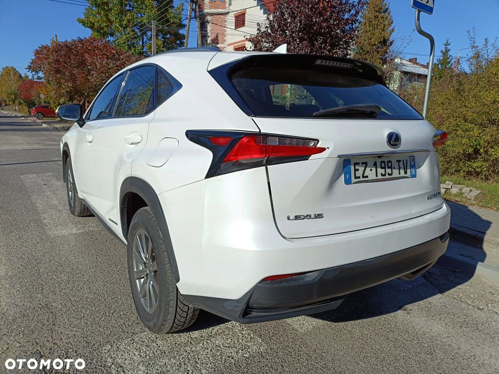 Lexus NX 350h Elegance 2WD - 2