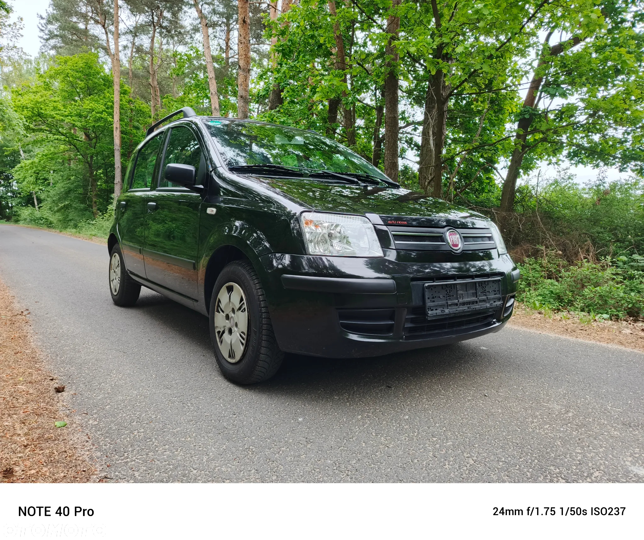 Fiat Panda 1.2 Dynamic Plus - 3