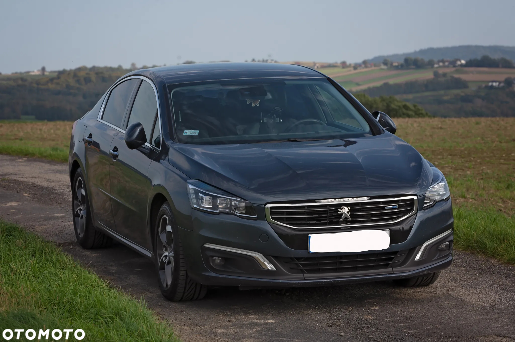 Peugeot 508 2.0 BlueHDi Allure S&S - 2
