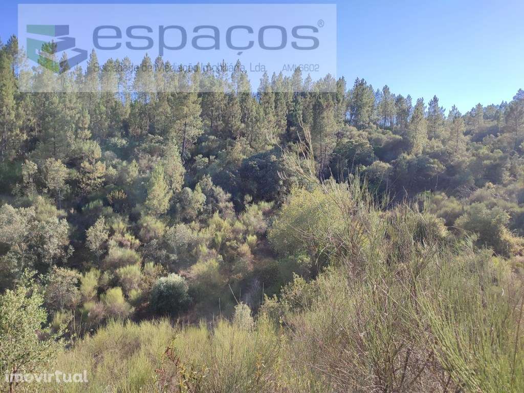 Cova das Medronheiras - Chão da Vã - Grande imagem: 4/10